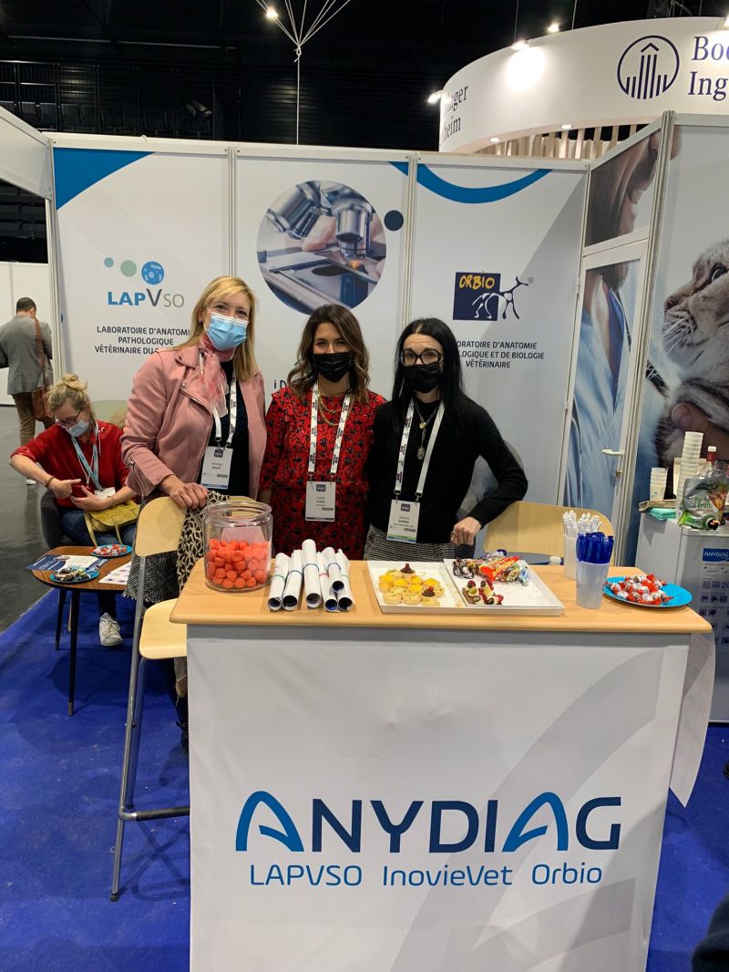 En direct du congrès de l’AFVAC avec le Laboratoire Inovie Vet - Groupe ...